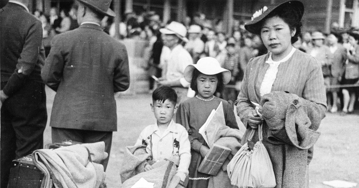 L Internement Des Canadiens Et Des Canadiennes D Origine Japonaise MCDP   Copy Of C 046355 